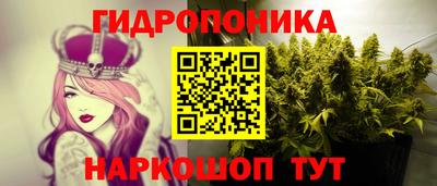 шишки Пыть-Ях