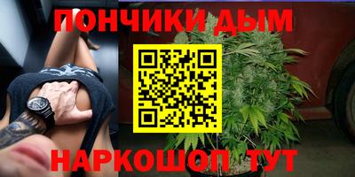 шишки Пыть-Ях